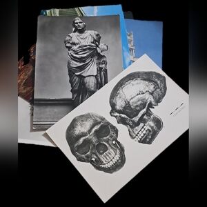 British And Victoria and Albert Museum Postcard Set